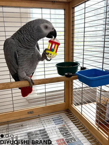 Vista 6 de Paquete de 10 juguetes para pájaros para loros, ratán natural y bolas