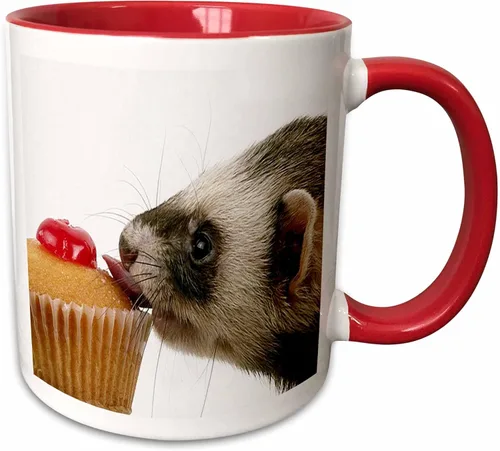 Vista 10 de 3dRose Ferret Eating Cupcake 15oz Two-Tone Black Mug