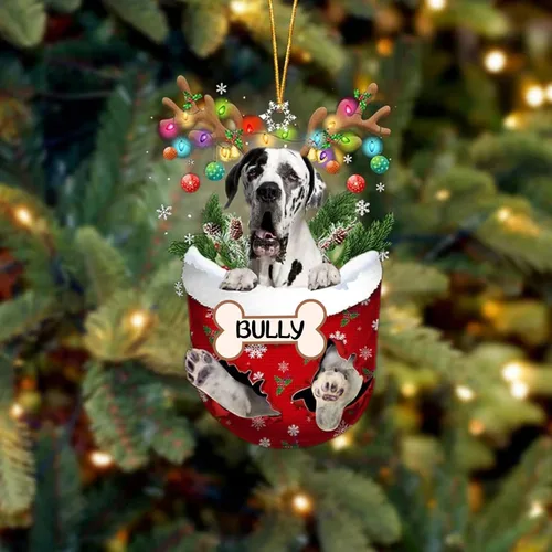 Vista 209 de IZI POD Affenpinscher Adorno de Navidad personalizado para perro, adorno de bolsillo de nieve para perro para árbol de Navidad, adorno acrílico