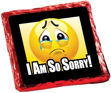 Vista 2 de I'M SORRY - GRAHAMS CUBIERTOS DE CHOCOLATE "COOKIE TALK" - 6PC