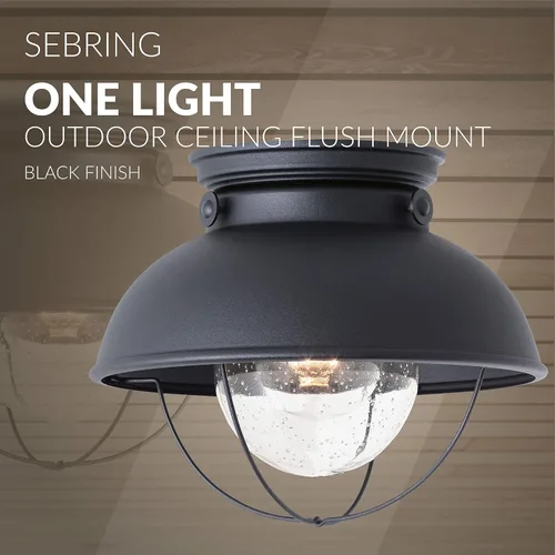 Vista 5 de Generation Lighting 8869-12 Sebring Transitional One - Lámpara de montaje empotrado para techo al aire libre, acabado negro, 1 luz, listado cETL