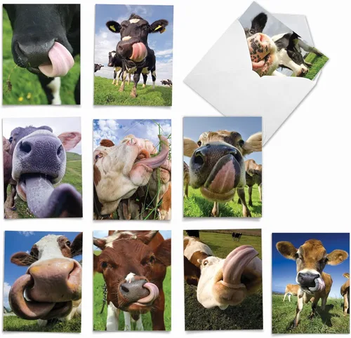Vista 16 de The Best Card Company - Tarjetas de animales en blanco en caja, 4 x 5.12 pulgadas, mascotas surtidas, zoológico, tarjetas de vida silvestre