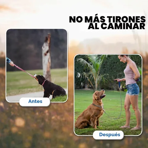 Vista 4 de Collar de cadena para perro, Martingala de metal, antimasticación, a prueba de masticación, chapado en cromo, doble eslabón para perros pequeños