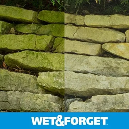 Vista 9 de Wet & Forget Molde de musgo para exteriores, removedor de manchas de hongos y algas, 2 x 0.75 galones