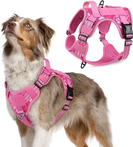Vista 29 de rabbitgoo Arnés táctico para perros pequeños, chaleco de servicio militar sin tirones con asa y Molle, de fácil control para entrenar y caminar