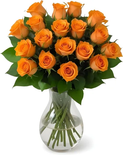 Vista 14 de 18 rosas de arco iris de colores surtidos con jarrón Ramos de Arabella Flores frescas reales para entrega, regalo para cumpleaños, mujeres