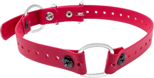 Vista 7 de Educator Mini collar de perro con doble bungee para perros pequeños, bioano, impermeable, a prueba de olor, hebilla de metal y anillo en D con dos