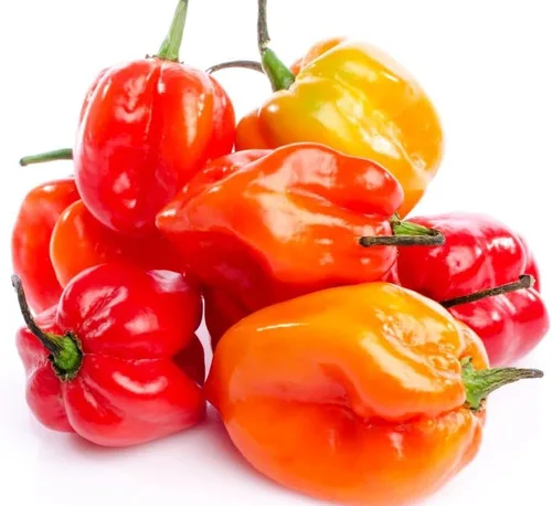 Vista 4 de Más de 35 semillas de pimiento picante para plantar habanero fantasma, mezcla de semillas de pimiento fantasma, rojo, naranja, amarillo, semillas