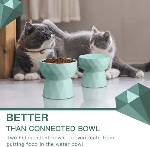 Vista 6 de Frewinky Cuencos para gatos, cuencos de cerámica para gatos antivómitos, juego de cuencos elevados para alimentos y agua para gatos y perros Verde