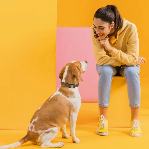Vista 103 de Dogline Biothane - Collar impermeable para perro con hebilla de liberación rápida, resistente cincha de nailon recubierta con resistente y a prueba