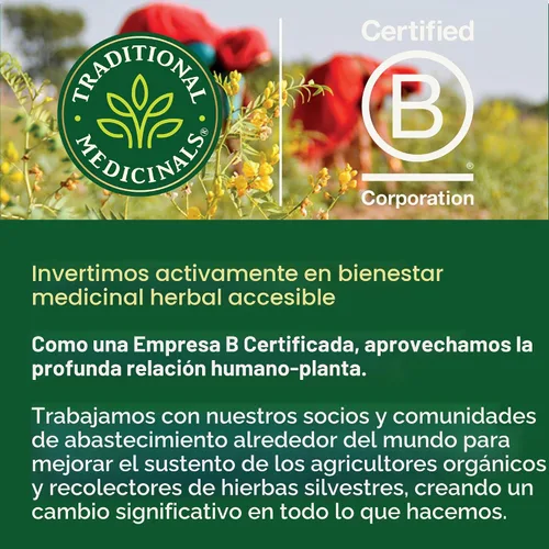 Vista 5 de Traditional Medicinals Té orgánico que respira fácilmente, promueve la salud respiratoria, 16 bolsas de té