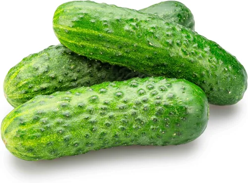 Vista 46 de 50 Hale's Best Cantaloupe Seeds for Planting - Sweet Aromatic Heirloom, Non-GMO, USA Grown by RDR Seeds