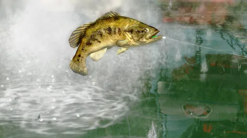 Vista 2 de Rapala Pro Bass Fishing 2010 - Sony PSP