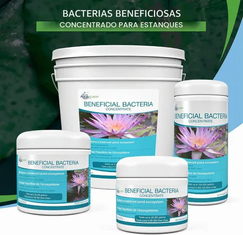 Vista 7 de Aquascape - Bacterias secas y beneficiosas para las características del estanque y del agua., Blanco