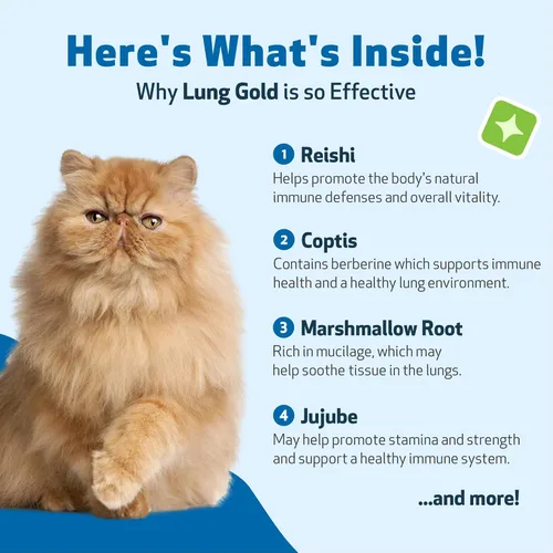 Vista 3 de Pet Wellbeing Oro pulmonar para gatos – Apoyo inmunológico pulmonar, salud respiratoria inferior, vías respiratorias abiertas, respiración normal