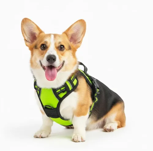 Vista 14 de Arnés para perro sin tirones, arnés reflectante cómodo ajustable con mango de fácil control delantero y trasero, acolchado suave para mascotas