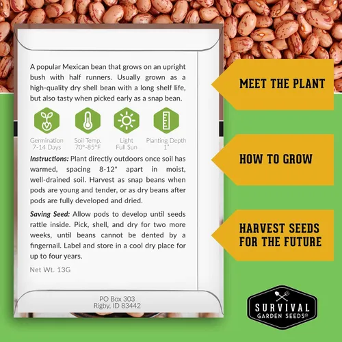 Vista 2 de Semillas de frijol Pinto para plantar, frijoles secos de reliquia, variedad de arbustos de alto rendimiento, cultivo alimenticio rico en proteínas