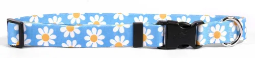 Vista 3 de Collar de perro Green Daisy - Tamaño gato de 8 a 12 pulgadas de largo Verde (Green Daisy)