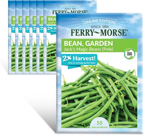 Vista 24 de Ferry-Morse Edición Online Bean Blue Lake Bush 274 Semillas Orgánicas Multipack – Paquete de 8