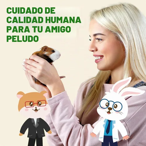 Vista 6 de DOC EDDIE'S Digestive Bites - Golosinas para animales pequeños a base de plantas para conejos, cobayas, hámsters, jerbos y más - Suplemento