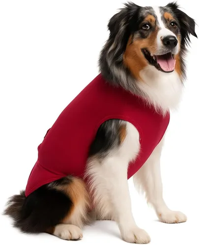 Vista 21 de SurgiSnuggly Traje de Recuperación Quirúrgica Inventado por Veterinarios para Perros Hembra o Macho, Esterilización, Castración, Mameluco, El Traje