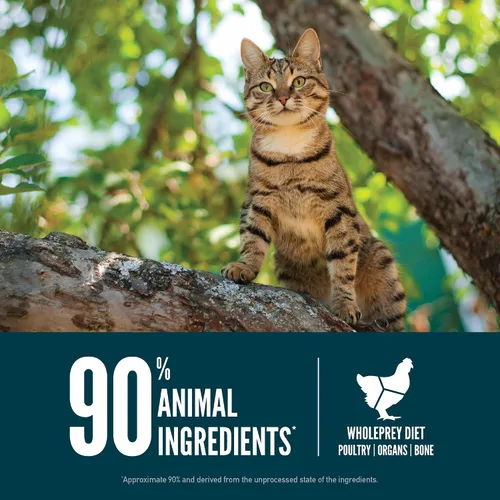 Vista 5 de ORIJEN Guardian - Comida seca premium sin granos con alto contenido de proteínas para gatos, 4 libras 90% Animal Ingredients, Freeze Dried, Fresh