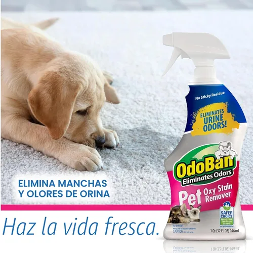 Vista 10 de OdoBan Pet Solutions Oxy - Removedor de manchas, fabricado en los Estados Unidos, paquete de 2, aerosoles de 32 onzas cada uno, y concentrado