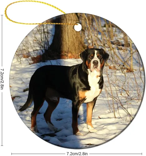 Vista 2 de Adornos para árbol de Navidad 2023 para perro, camino de invierno, recuerdo de cerámica para nieve, decoración de árbol de Navidad, bola colgante