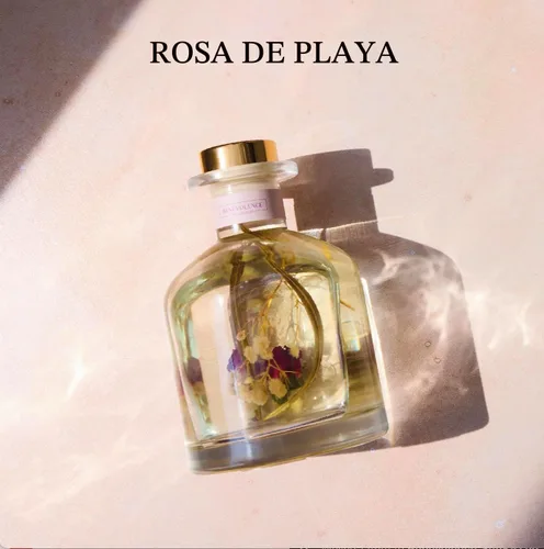 Vista 2 de Benevolence LA Difusor de junco, difusor de aroma de rosa y sándalo para el hogar con varillas difusoras de aceite Colección Sun-Kissed