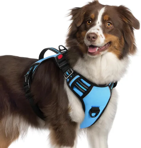 Vista 38 de rabbitgoo Arnés para perro de tamaño pequeño, arnés para mascotas sin tirones con mango acolchado suave, chaleco reflectante ajustable con 3