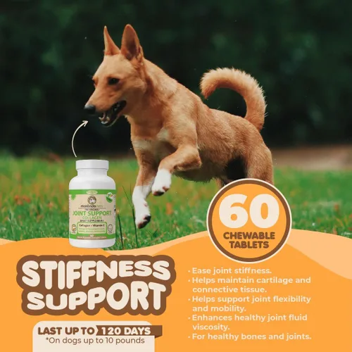 Vista 5 de Colágeno para perros y gatos - Suplementos de colágeno para la salud de las articulaciones - Suplemento de vitamina C para la movilidad