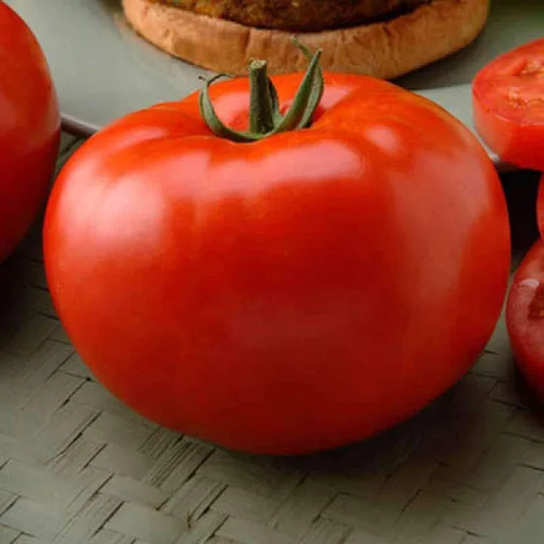 Vista 5 de Semillas Red Giant Beefsteak Tomate - Vegetales tradicionales - Sin OGM
