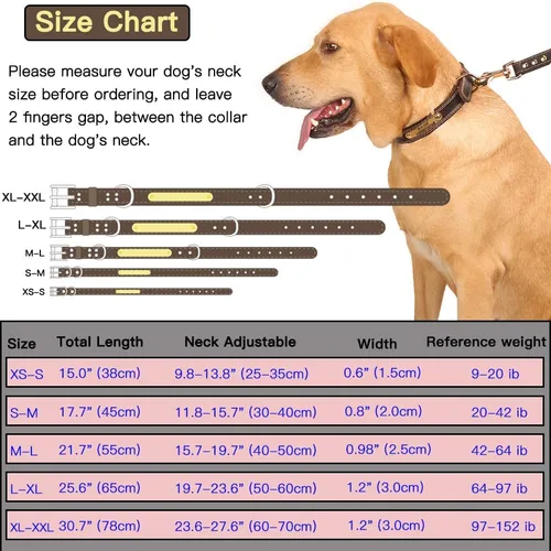 Vista 6 de Collar de perro personalizado de cuero genuino con nombre