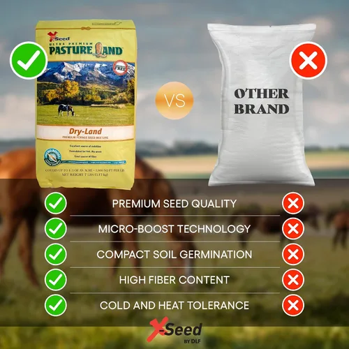 Vista 7 de X-Seed Mezcla de semillas de forraje de tierras secas con Micro-Boost – Festuca alta hierba huerta de riegrass, pasto libre de endófitos para una