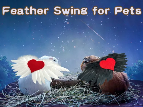 Vista 5 de Traje de 2 piezas para el día de San Valentín, alas de ángel con corazón de amor, disfraz de corazón de amor para mascotas pequeñas, chaleco