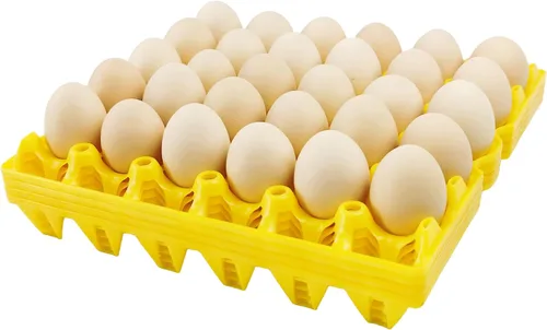 Vista 7 de Paquete de 4 cajas de plástico para huevos, 30 huevos planos, apilables, duraderas, reutilizables, color verde