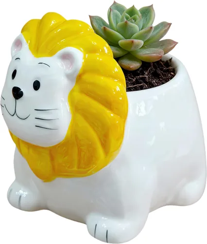 Vista 12 de Maceta de cerámica en forma de animal - Decoración única y encantadora para el hogar (vaca)