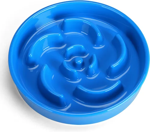 Vista 13 de Cuenco de cerámica para perros de alimentación lenta, 2 tazas de plato de Laberinto - Azul