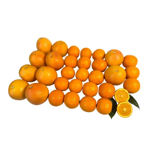 Vista 5 de Capital City Fruit Gourmet - Caja de regalo de fruta fresca Regalo para vacaciones, agradecimiento, mejorate Caja de regalo de condolencias
