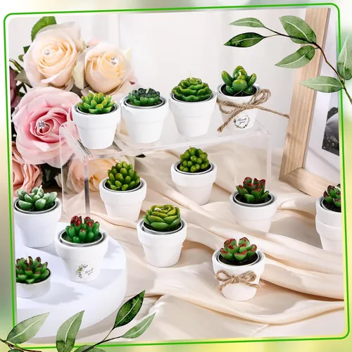 Vista 3 de MTLEE Maceta de velas de cactus, 18 velas de cera de parafina para suculentas con mini macetas de arcilla de terracota blanca, para recuerdos