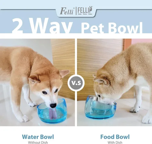Vista 2 de Felli Pet Oblik - Tazón de agua inclinado para comida para perros, plato ovalado de acero inoxidable, ergonómico, en ángulo, a prueba de derrames