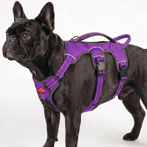 Vista 18 de Tuff Pupper Arnés para perro sin escape a prueba de escape, arnés ajustable de 5 puntos para perros, arneses acolchados para perros, arneses