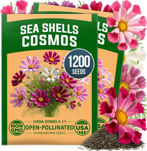 Vista 46 de HOME GROWN Semillas de Hollyhock de doble mezcla de Chater, 200 semillas