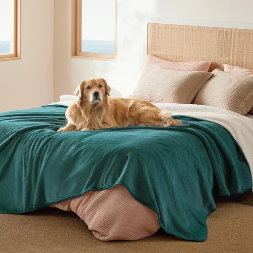 Vista 88 de Bedsure - Mantas impermeables para perros pequeños - Manta de felpa de sherpa con impresión suave lavable para perros y gatos, protector de muebles