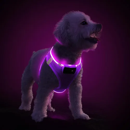 Vista 12 de PceoTllar Arnés para perro con luz LED, reflectante sin tirones, luz intermitente para caminar por la noche, talla S/M, (azul XS)