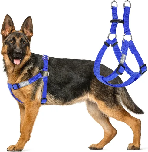 Vista 5 de AKC Step-in - Arnés para perro, chaleco ajustable de color sólido con anillos en D dobles, ajuste cómodo sin tirones para perros pequeños, medianos