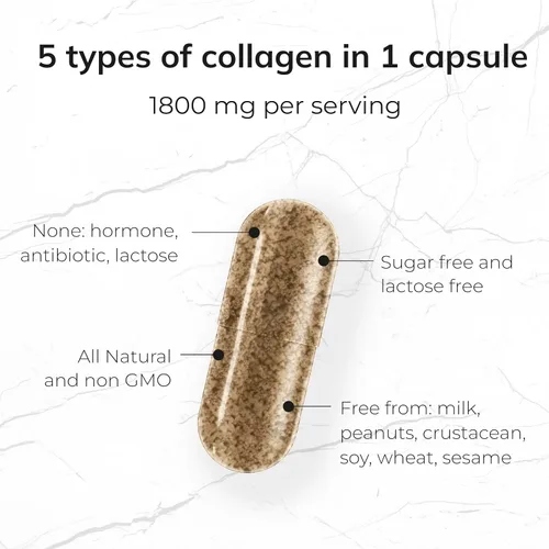 Vista 6 de Péptidos de colágeno 5 en 1 de 1800 mg, 90 cápsulas - Tipo I, II, III, V, X - Suplementos de colágeno cápsulas para mujeres y hombres - Proteína