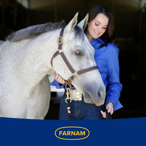 Vista 11 de Farnam Los caballos en jeringa con pasta probiótica ayudan al equilibrio El suplemento de salud digestiva e inmunológica de entrega rápida apoya un