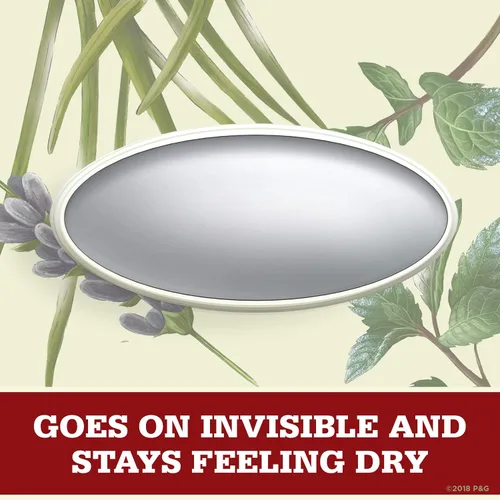 Vista 4 de Old Spice Desodorante antitranspirante para hombres, desierto con lavanda, inspirado en la naturaleza, sólido invisible 2.6 onzas (paquete de 12)