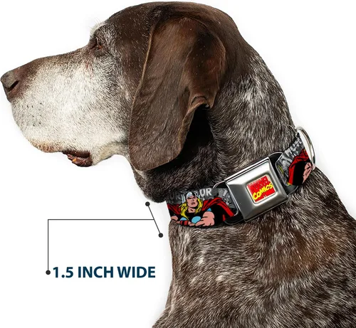 Vista 7 de Buckle-Down Collar de perro con hebilla para cinturón de seguridad, The Mighty Thor Action Poses disponible en tamaños ajustables para perros